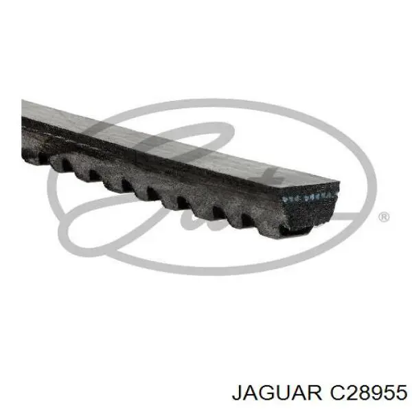 C28955 Jaguar ремінь приводний, агрегатів