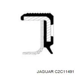 Сальник коленвала двигуна, передній Jaguar C2C11491 ціна, від 11.51 USD