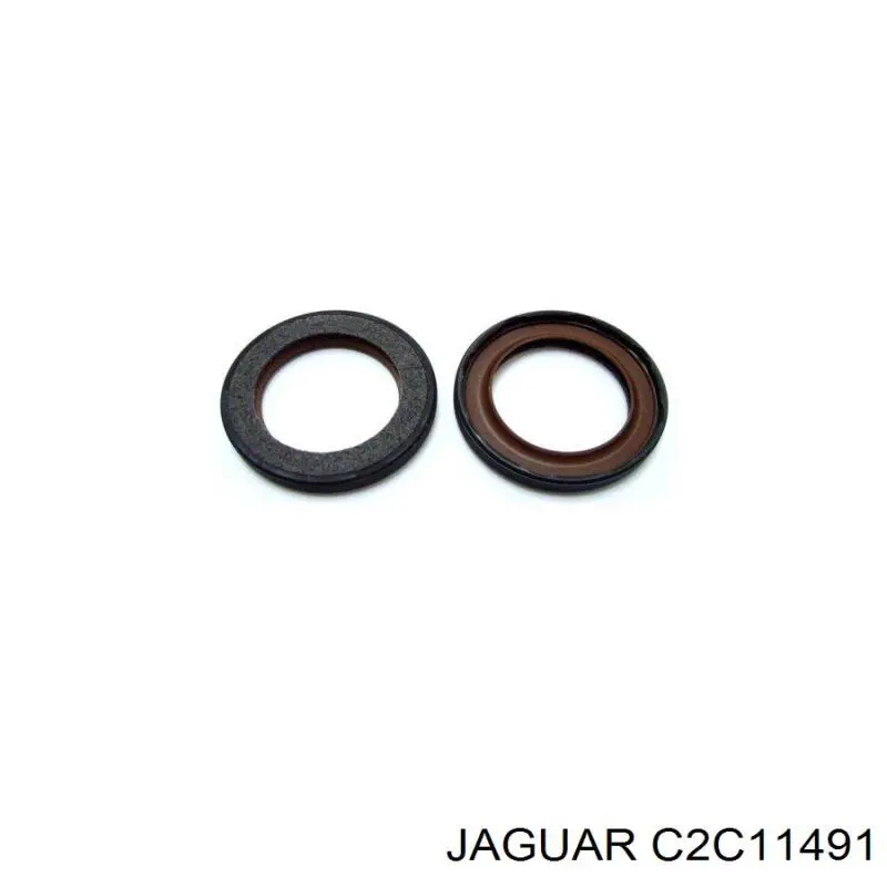  C2C11491 Jaguar