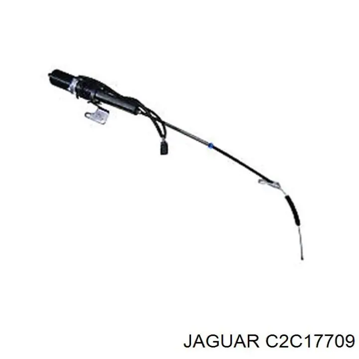 C2C40572 Jaguar 