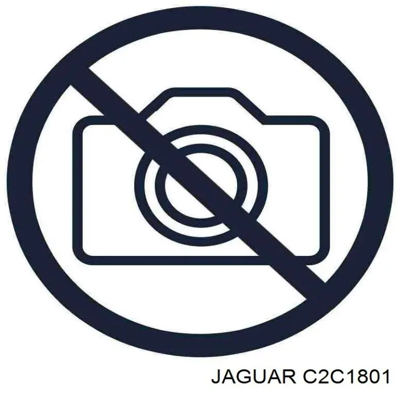 C2C1801 Jaguar Стійки і важелі підвіски