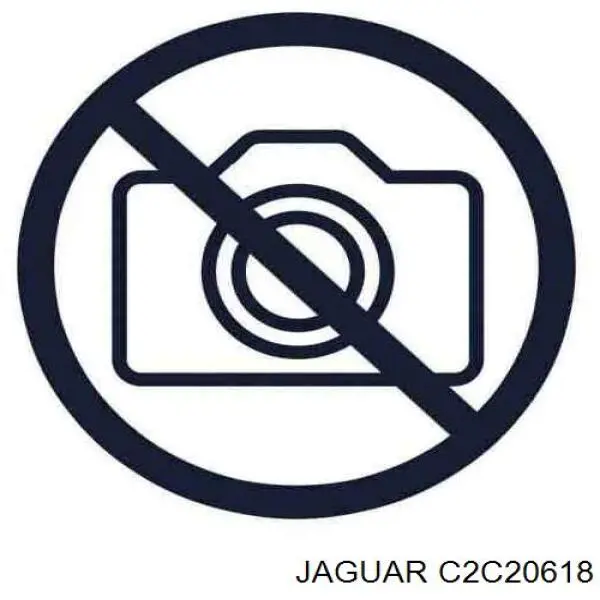 Важіль передньої підвіски нижній, лівий/правий Jaguar C2C20618 ціна, від 101.35 USD