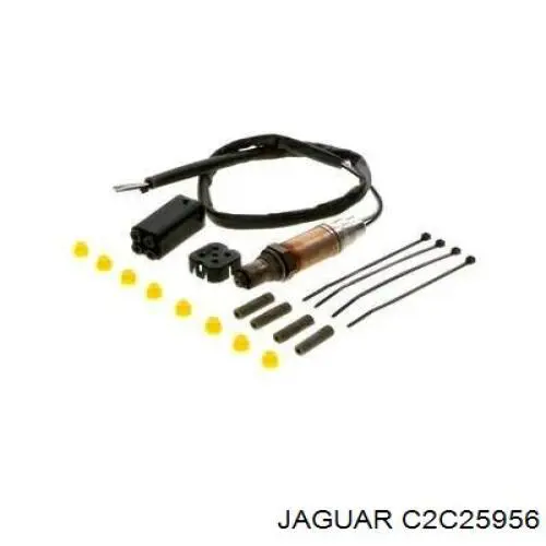 Лямбда-зонд, датчик кисню після каталізатора C2C25956 Jaguar