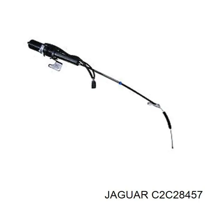 C2C28457 Jaguar 