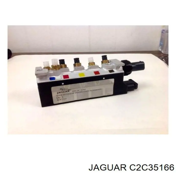  C2C22909 Jaguar