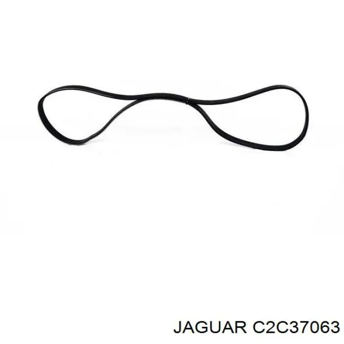 C2C37063 Jaguar Поліклиновий ремінь