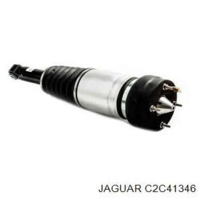 C2C41344 Jaguar 