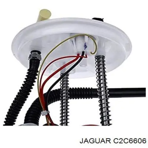 C2C24164 Jaguar 