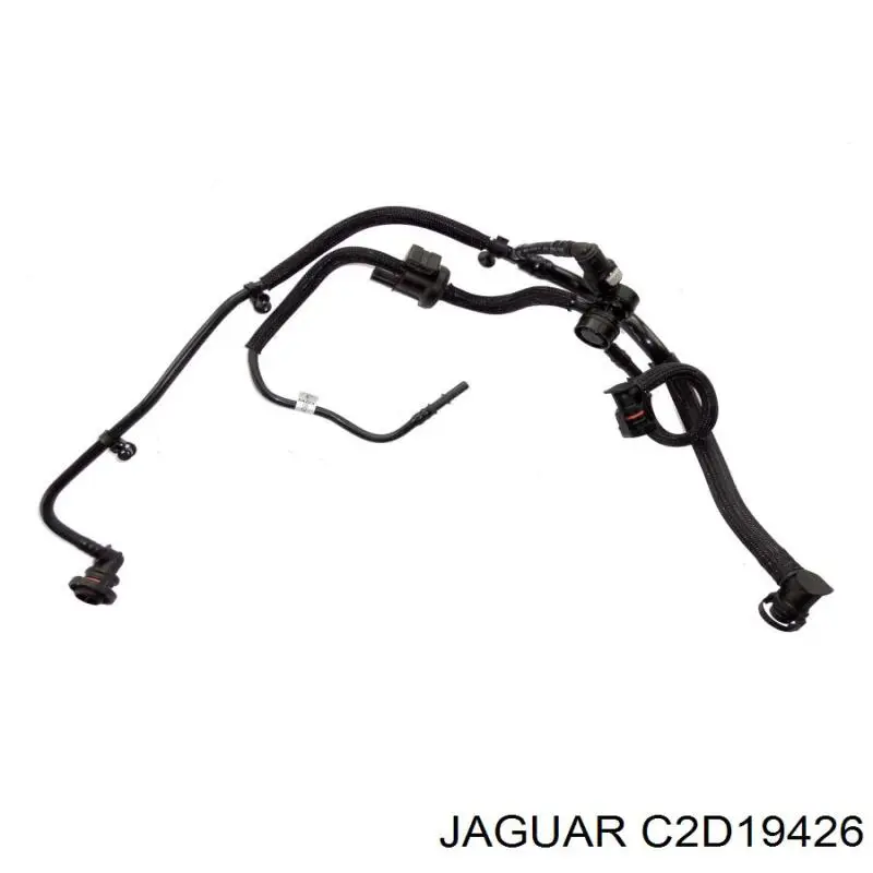 C2D19426 Jaguar 