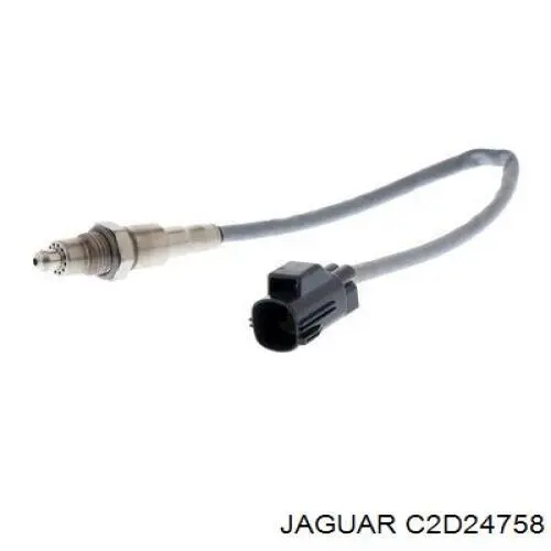  C2D55089 Jaguar