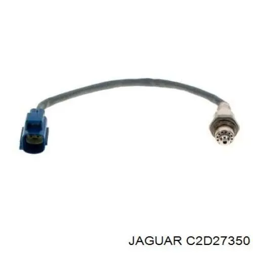  C2D27350 Jaguar