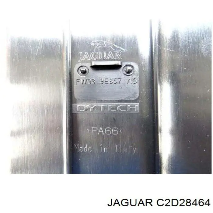  C2D28464 Jaguar