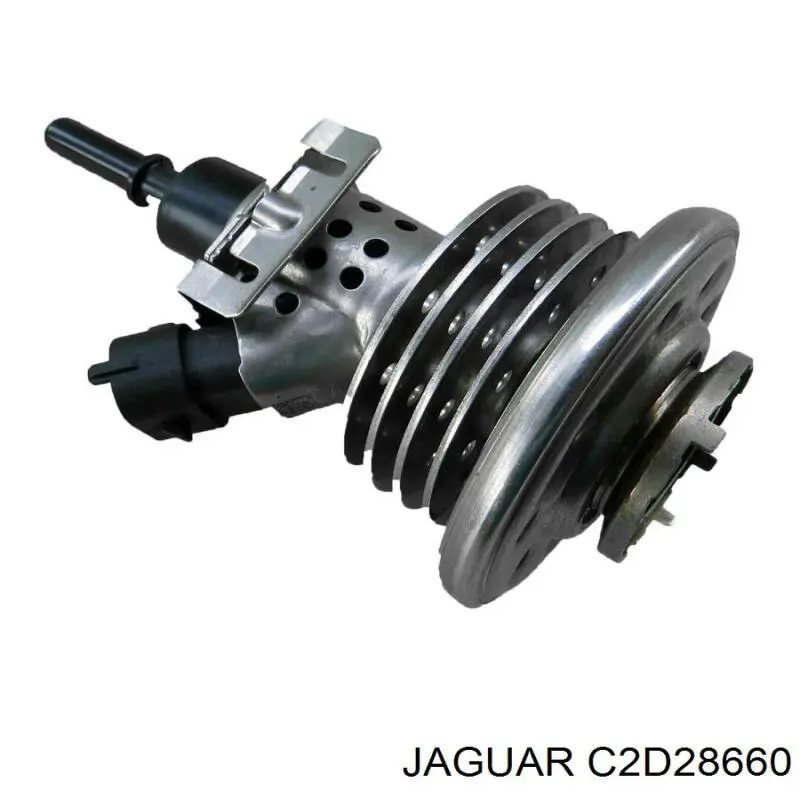  C2D28660 Jaguar