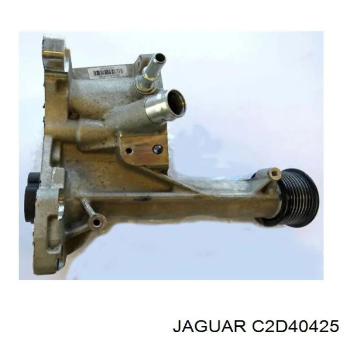 C2D53104 Jaguar 