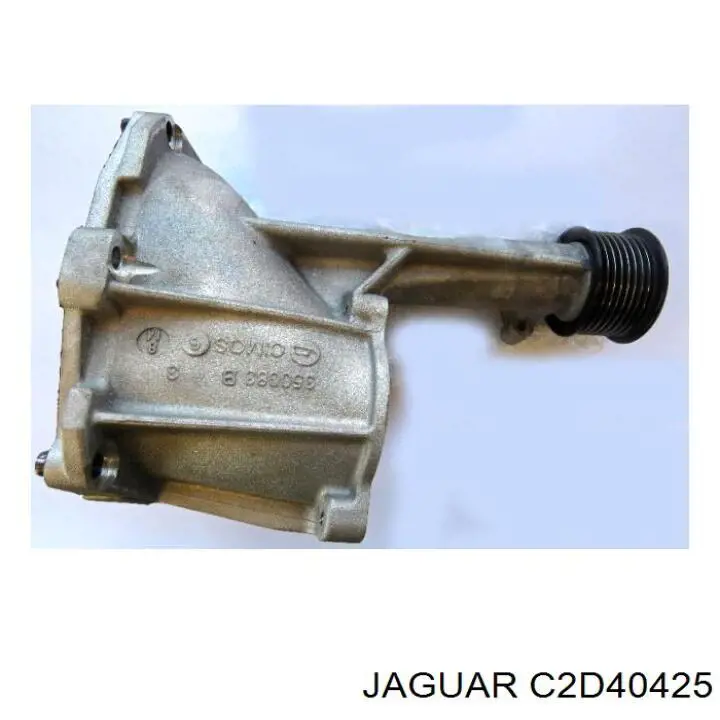  C2D40425 Jaguar