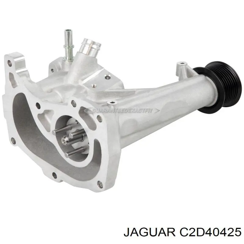 C2D40425 Jaguar 