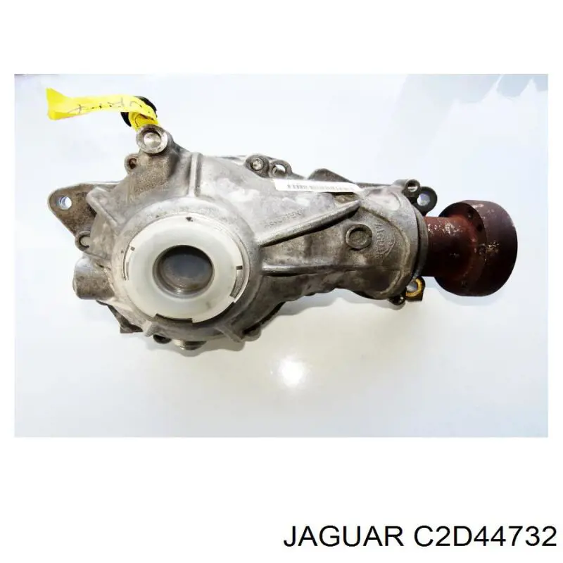  C2D44732 Jaguar