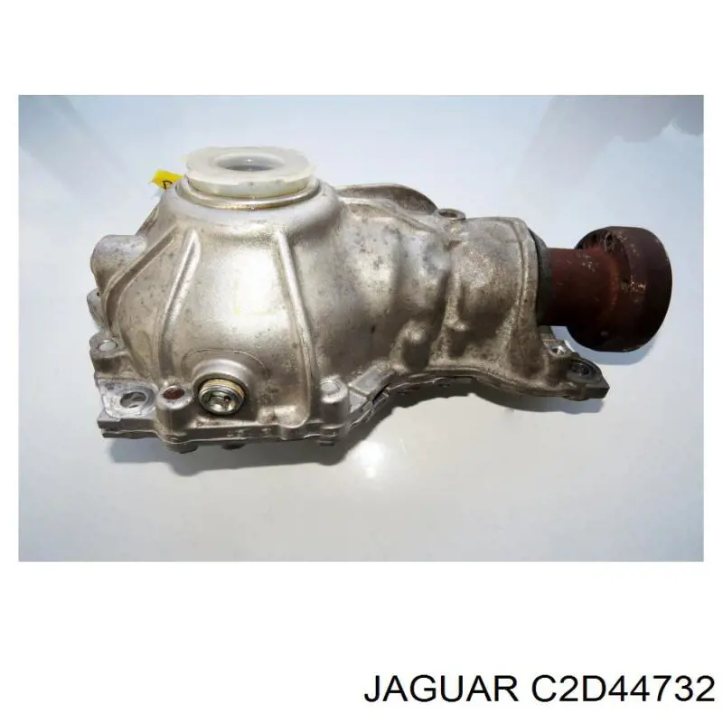 C2D44732 Jaguar 