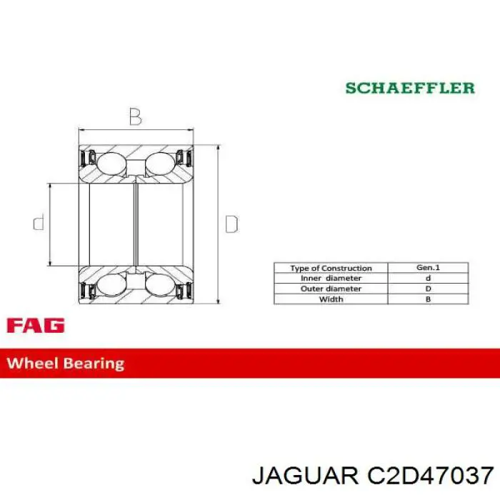  T4A12006 Jaguar