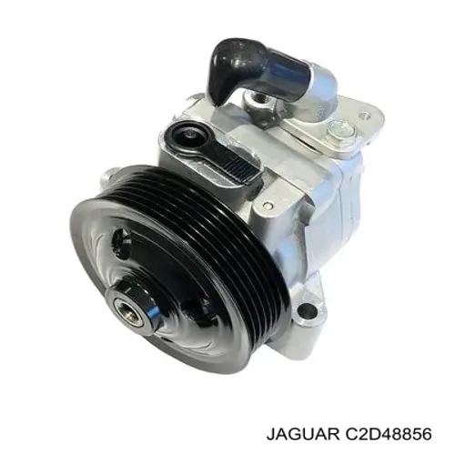  C2D48856 Jaguar