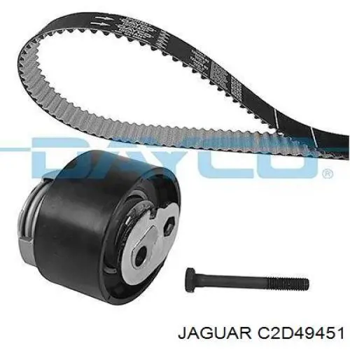 C2D49451 Jaguar 