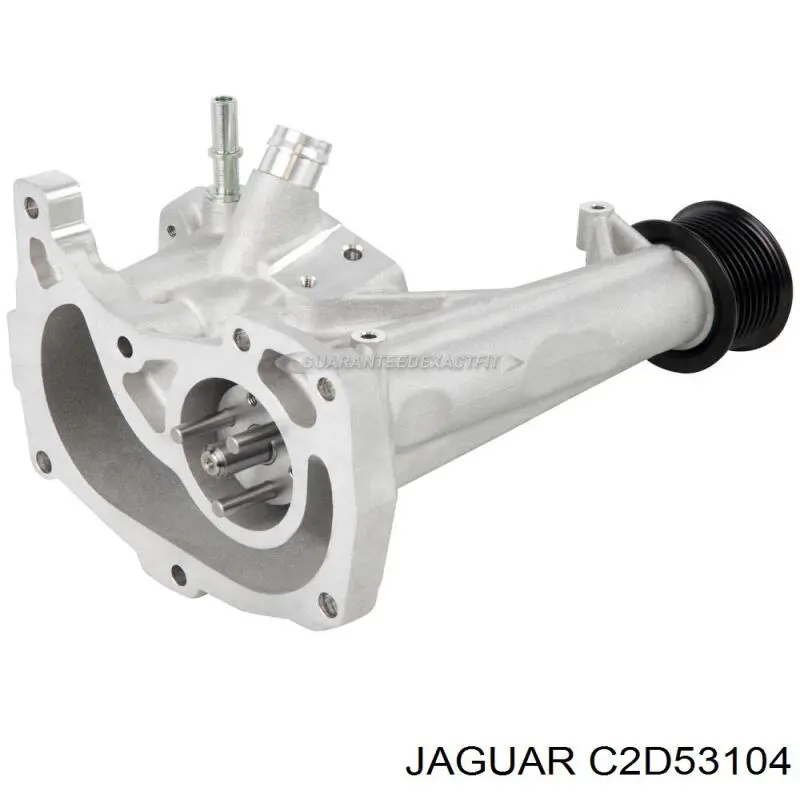  C2D53104 Jaguar
