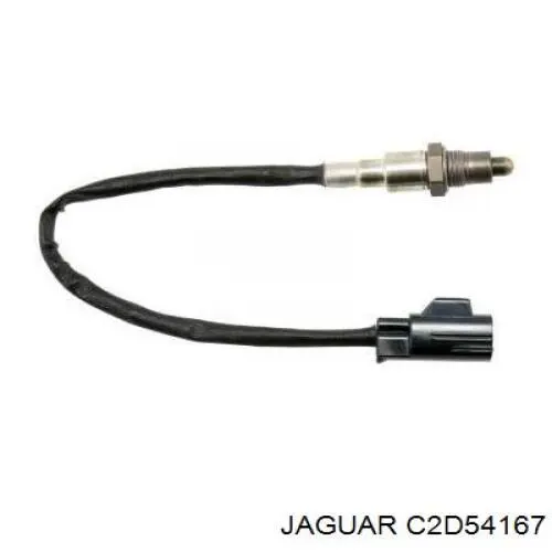 T2R54607 Jaguar 