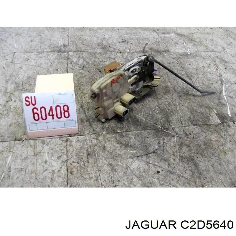  C2D47285 Jaguar