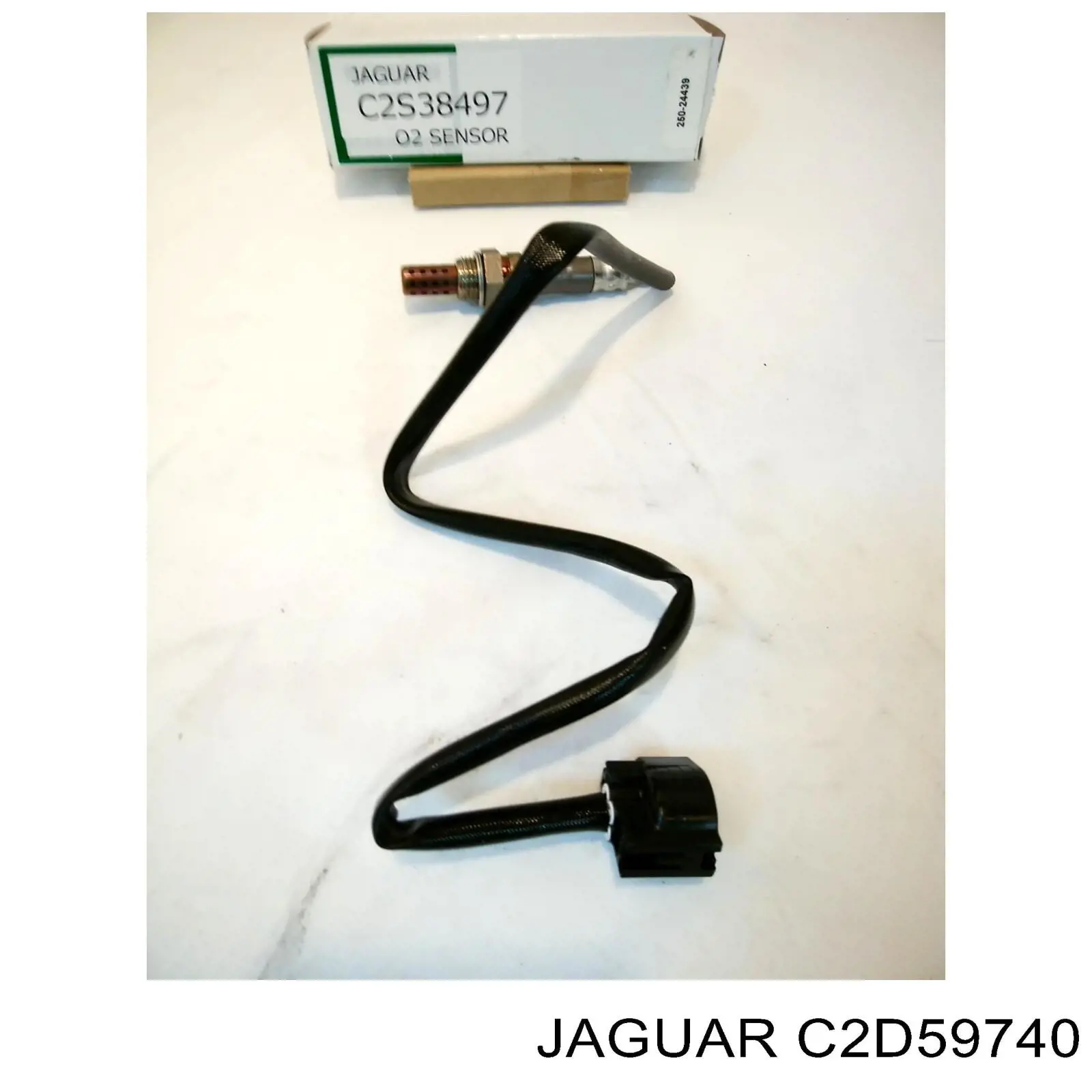  C2D35424 Jaguar