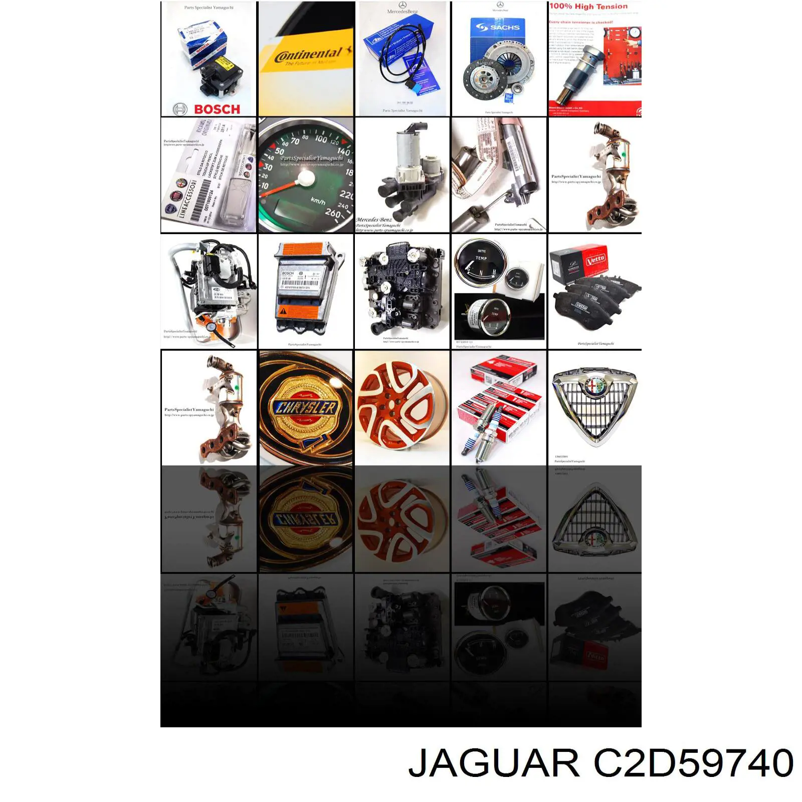  C2D59740 Jaguar
