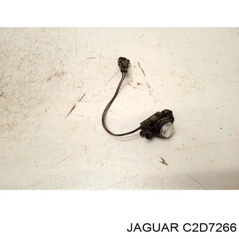  C2D7266 Jaguar