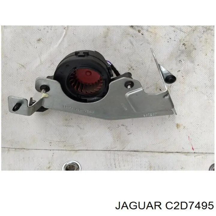 C2D7495 Jaguar 