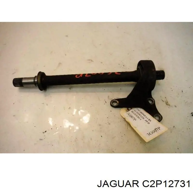  C2P12731 Jaguar