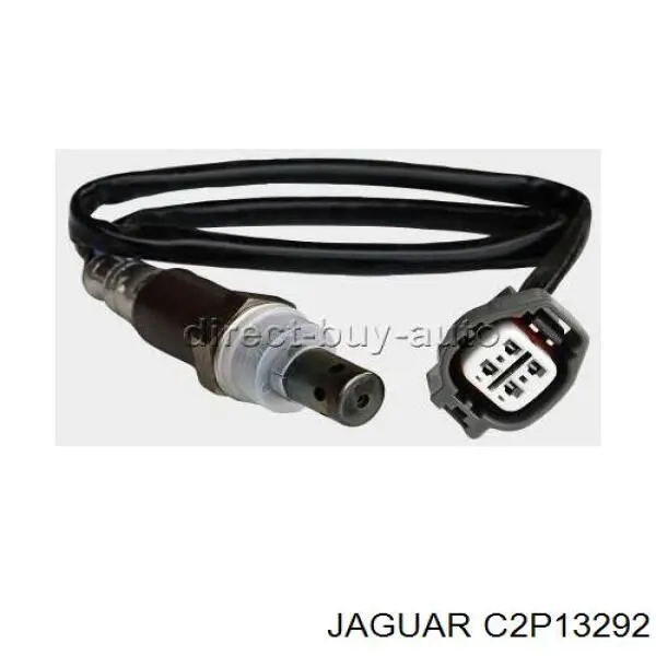 Купити C2D47174 Jaguar 