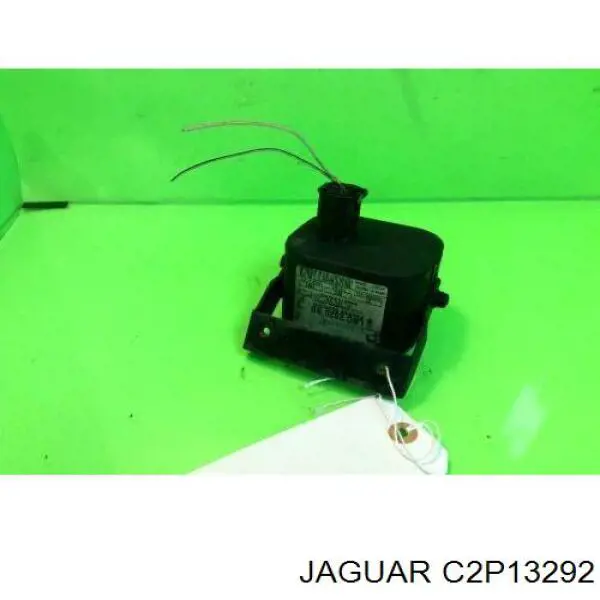  C2D47174 Jaguar
