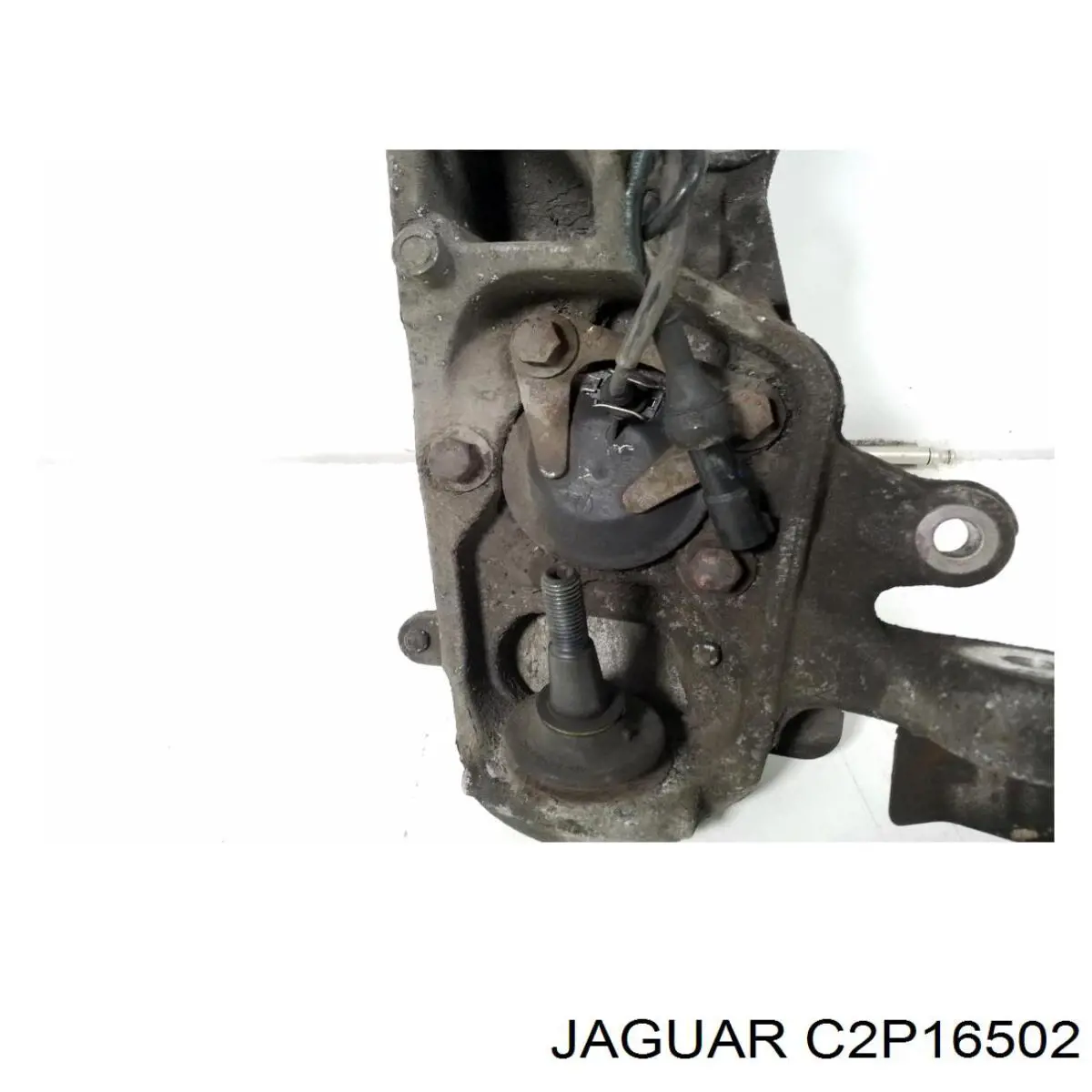 Кульова опора, нижня C2P23583 Jaguar