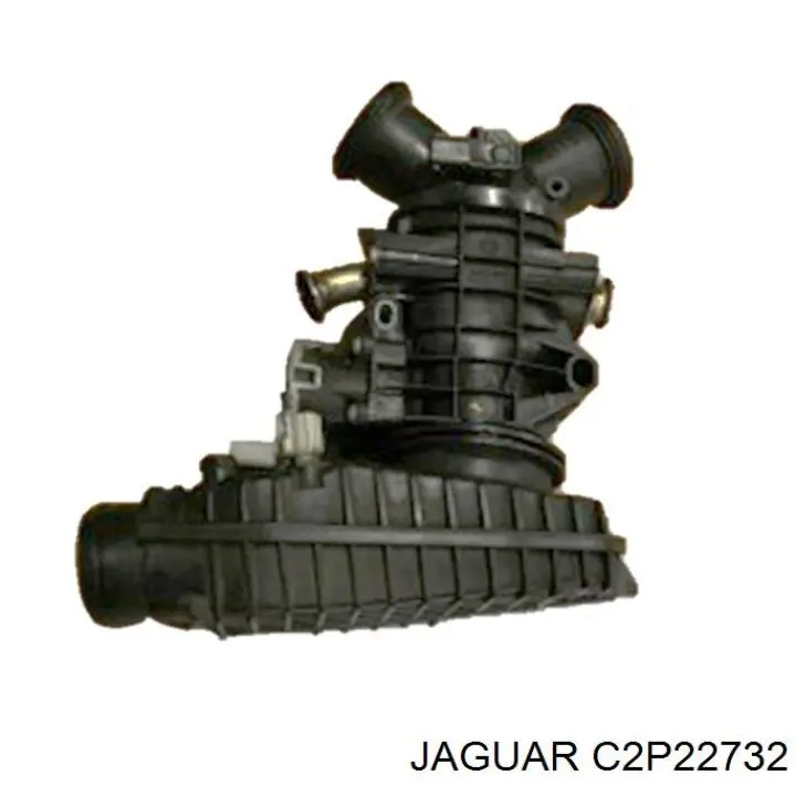  C2P22732 Jaguar