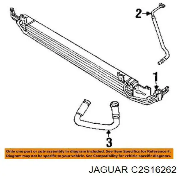 C2S33681 Jaguar 