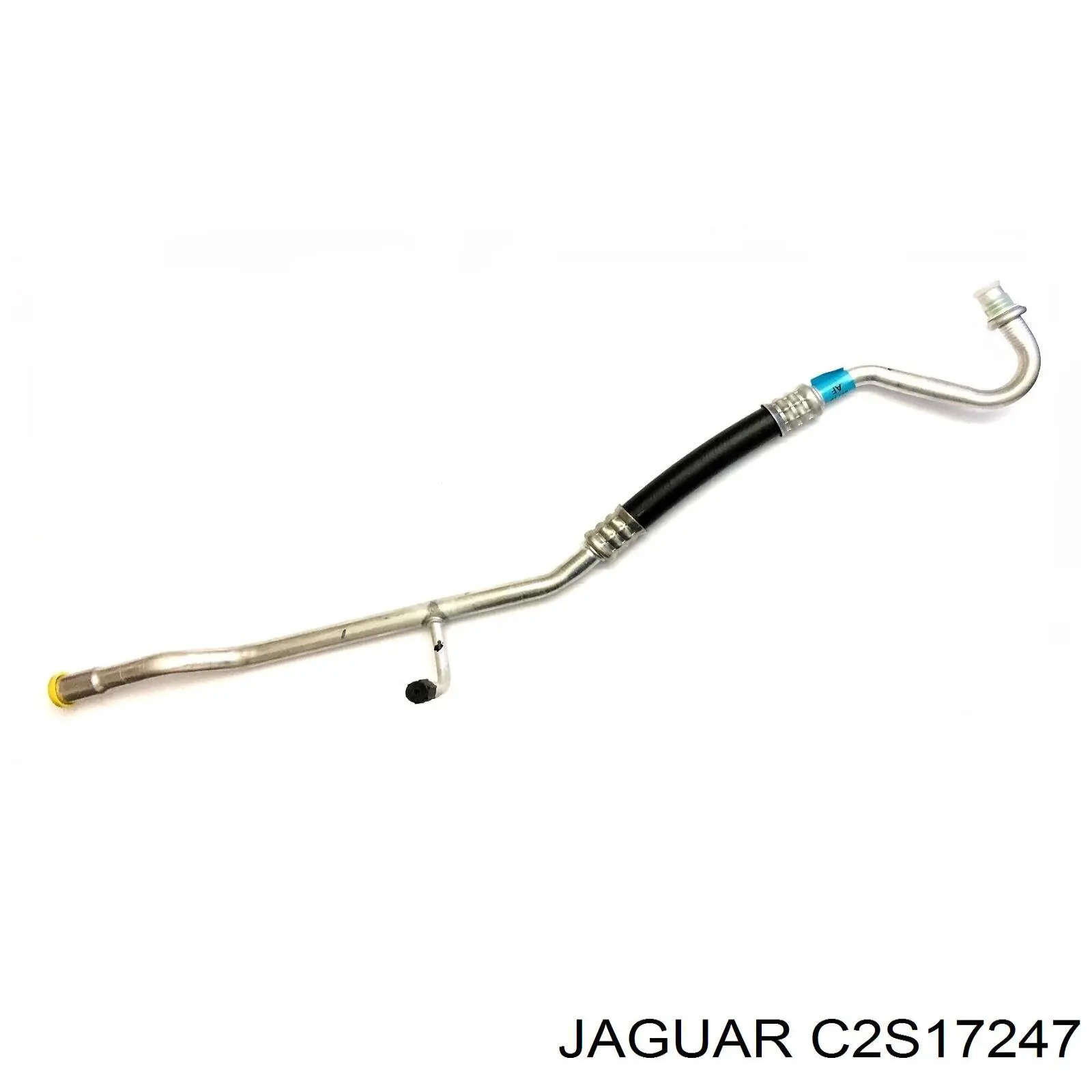 C2S17247 Jaguar 