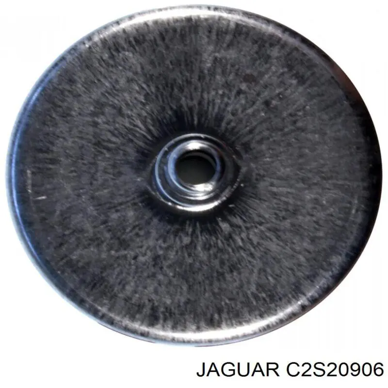 Фільтр тонкого очищення палива Jaguar C2S20906 ціна, від 2.81 USD