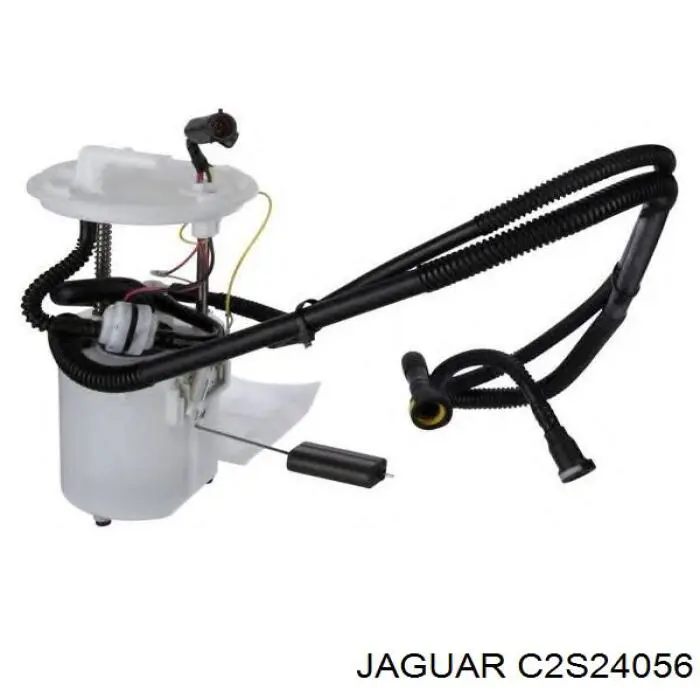 Купити C2S24056 Jaguar 