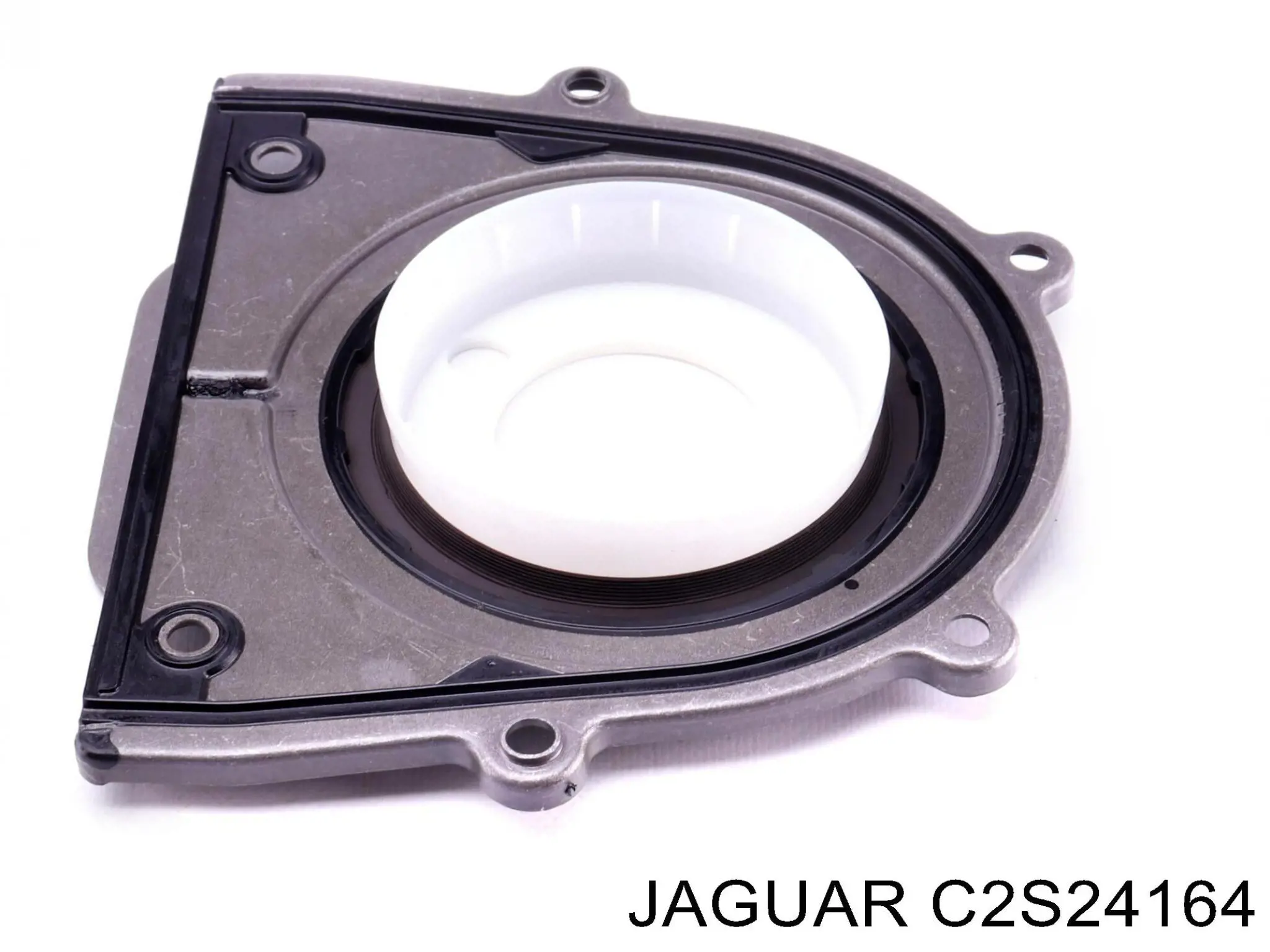 Купити C2S24164 Jaguar Сальник колінвала задній