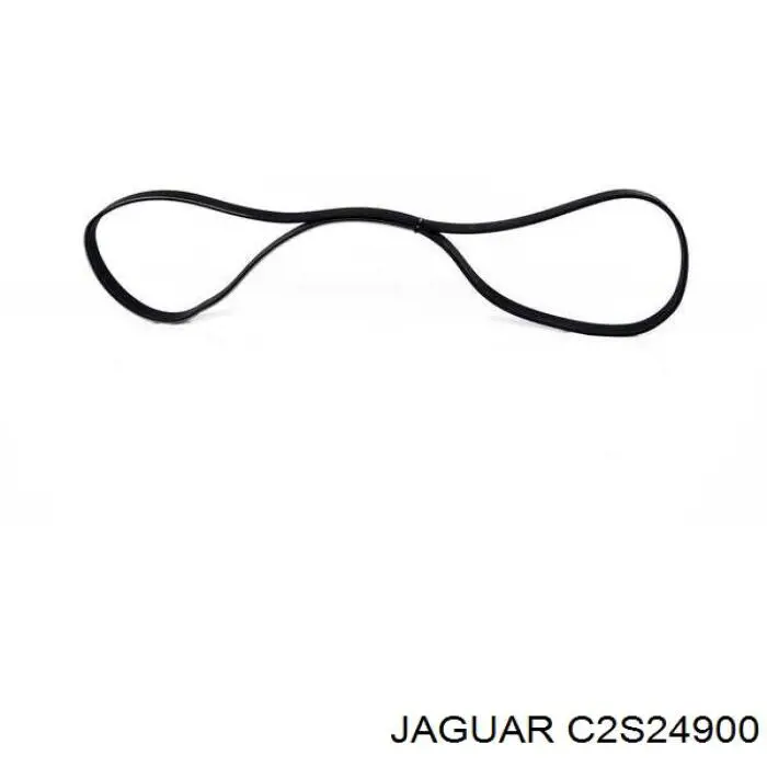 Купити C2S24900 Jaguar Ремінь генератора