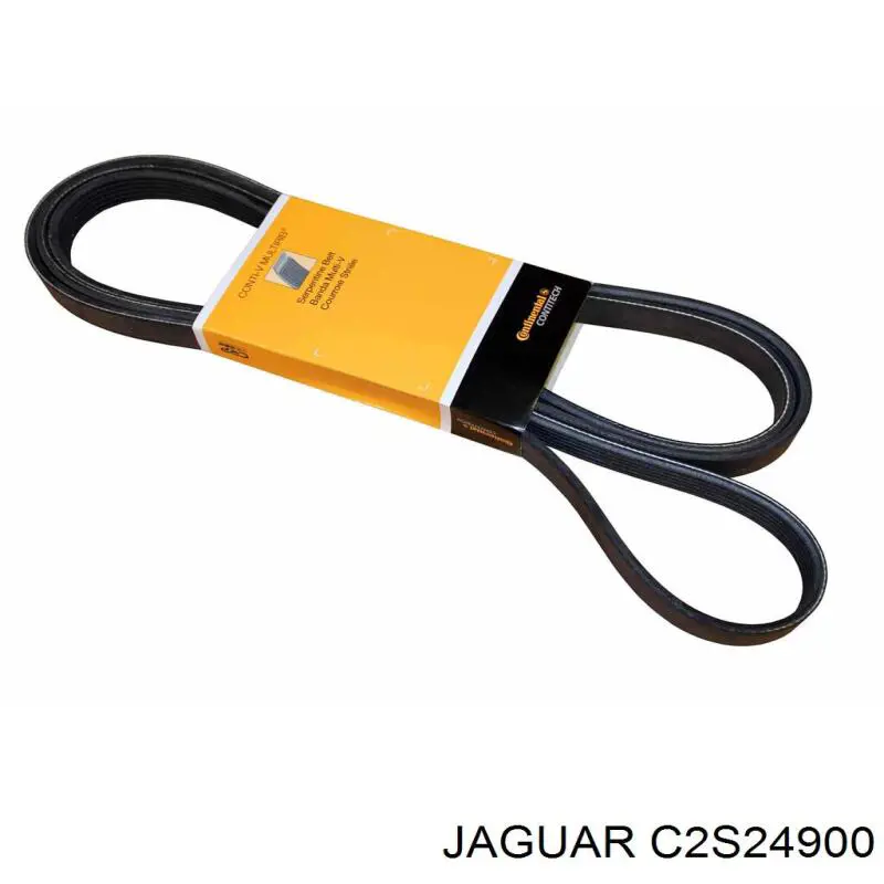 C2S24900 Jaguar Поліклиновий ремінь