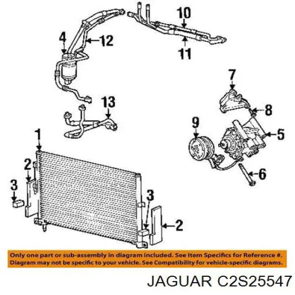  C2S25547 Jaguar