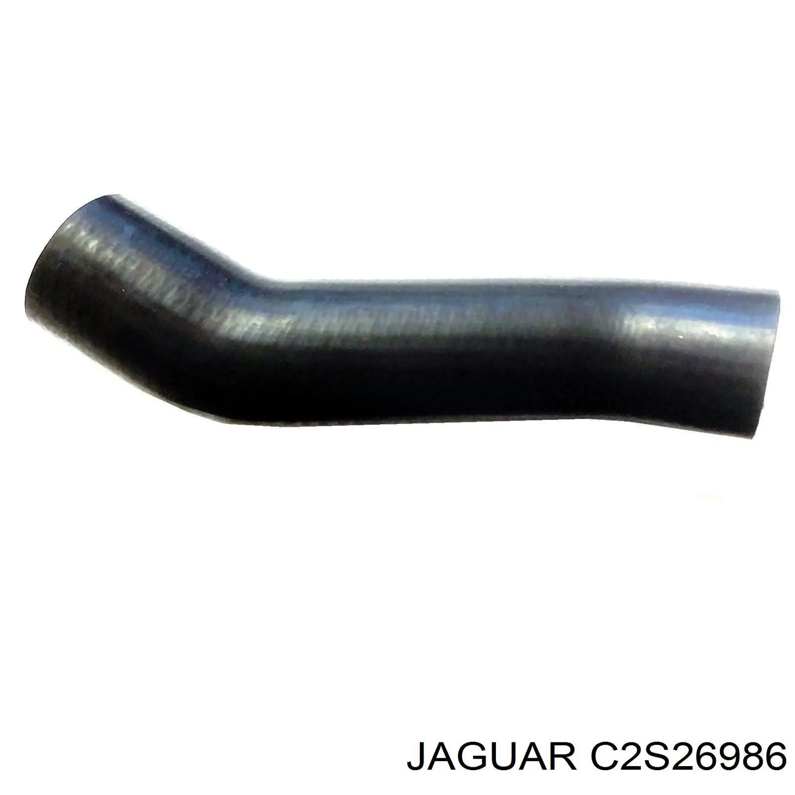 C2S26986 Jaguar 