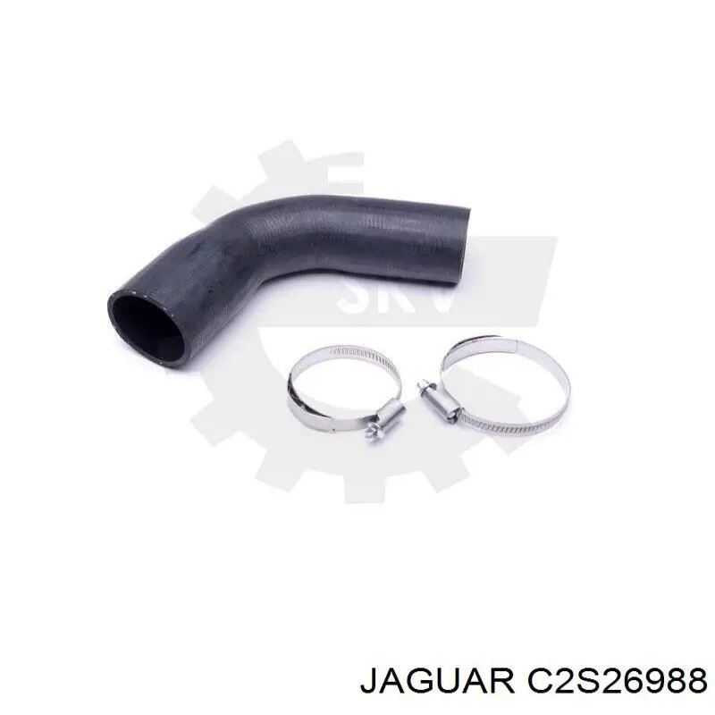 C2S26988 Jaguar 