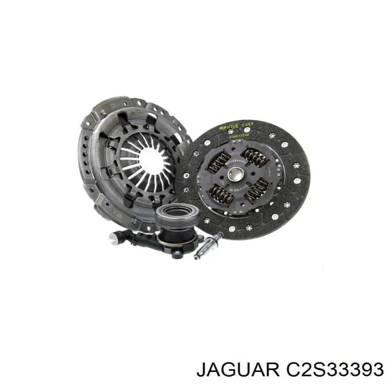  C2S33393 Jaguar