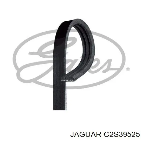 Купити C2S39525 Jaguar Ремінь генератора
