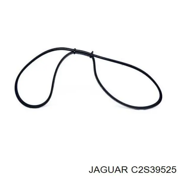Ремінь генератора C2S39525 Jaguar